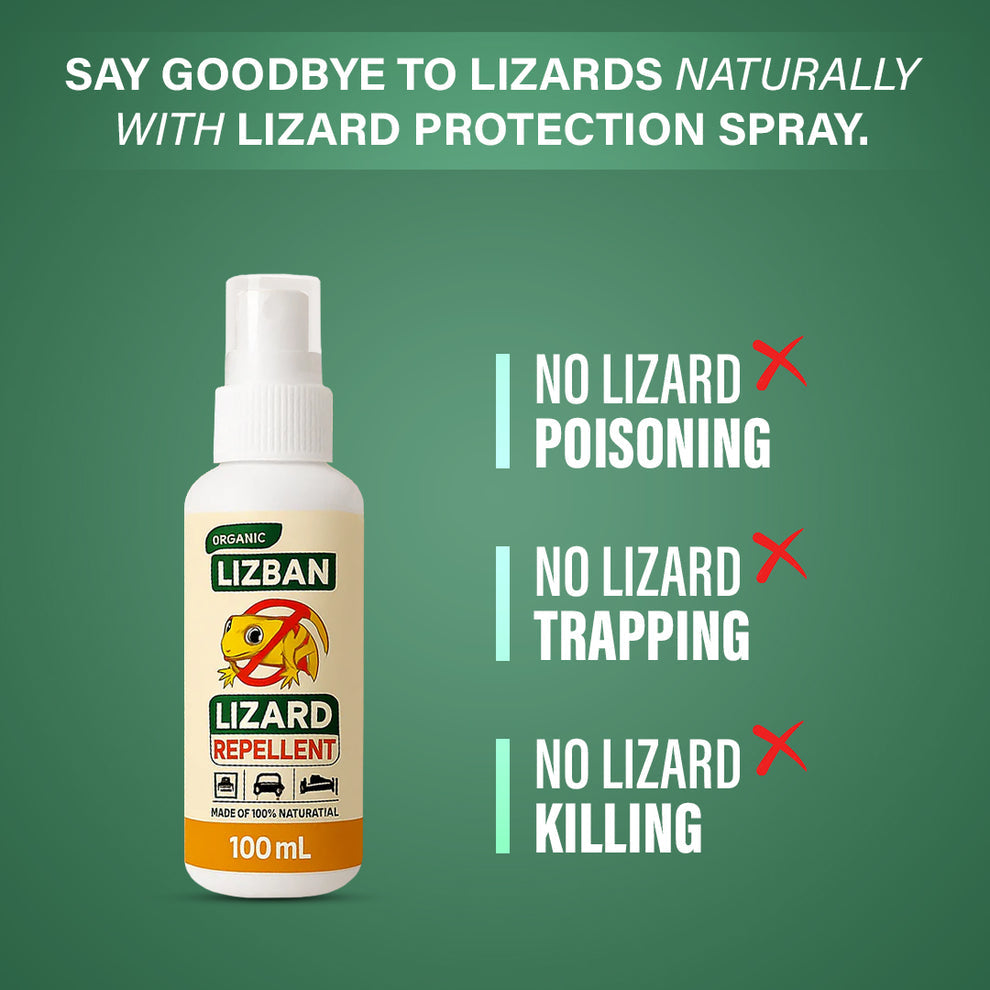 š„ BUY 1 GET 2 FREE š„ Lizard Repellent Spray - Safe, Effective Lizard Protection