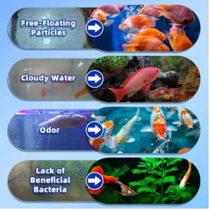 Fish Tank Water Purifier Algae Remover 100ml (Buy 1 Get 2 Free🔥🔥)